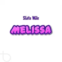 Melissa — Shatta Wale