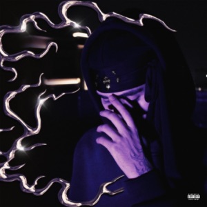Unlimited Dxse (feat. Feryflame)