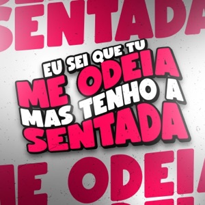 EU SEI QUE TU ME ODEIA MAS TENHO A SENTADA