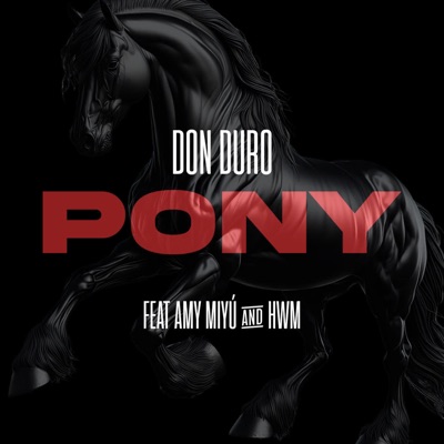 Pony - Single