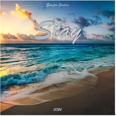 Stay - Single