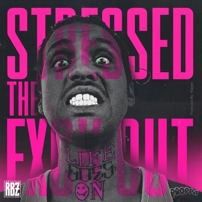 Stressed the Fuxk Out (feat. Rappa) - Single