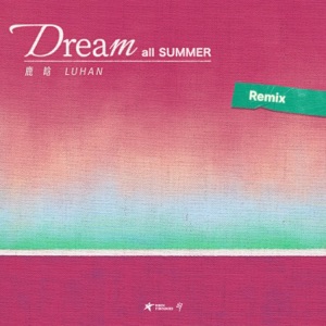 Dream All Summer(Funk Remix)