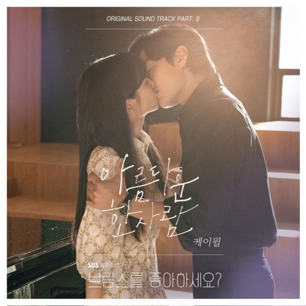 Do You Like Brahms? (Original Television Soundtrack) Pt. 9 - Single