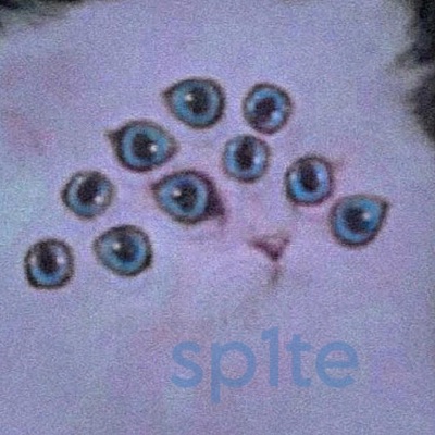 sp1te - Single