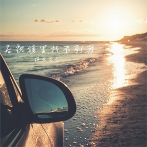 后视镜里找不到爱 - Single