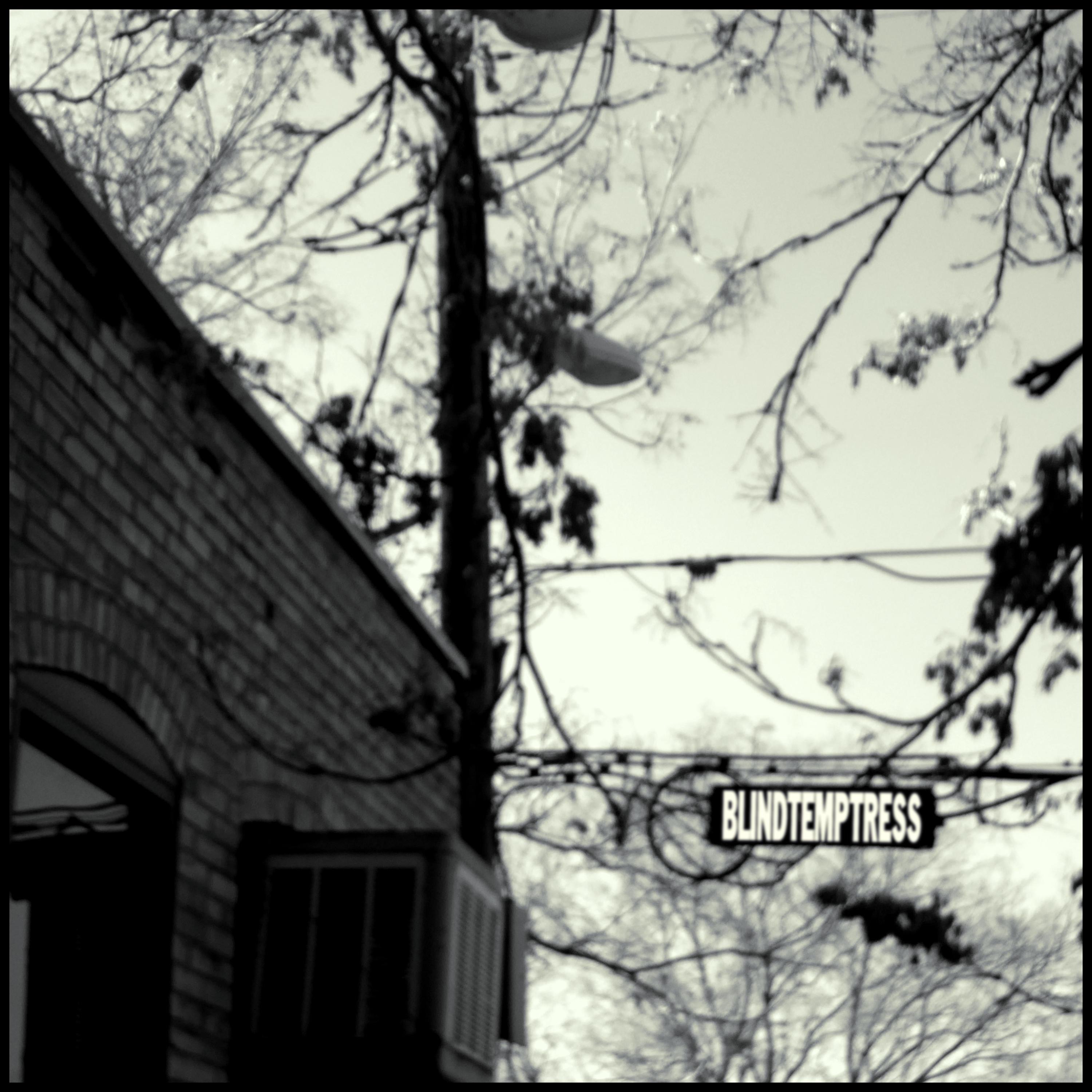 Milk & Molasses - Single