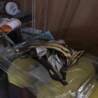 Check - Single - Lil Tree Treezy