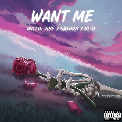 WANT ME (feat. SÀTURN & BLUÈ) - Single