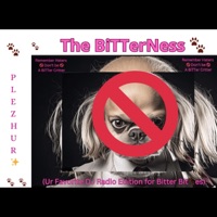 The BiTTerNess (Ur Favorite DJ Radio Edition for Bitter sehctiB) - Single - PLEZHUR