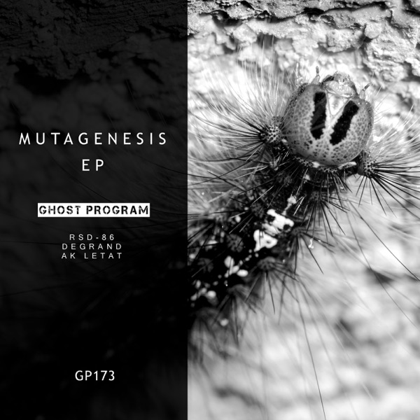 Mutagenesis EP - EP