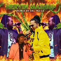Hervin — Spinz CZ