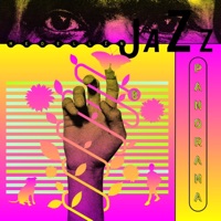 Medellín Jazz Panorama (feat. AfterClass) - Vic Deal, Bopscat & Hakim Al-Khaliq