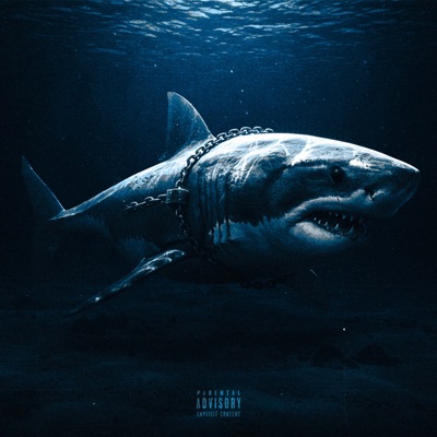 Shark Tank - Single