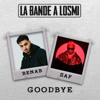 Goodbye - Single - La Bande à Losmi, Benab & SAF
