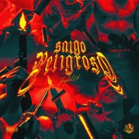 Salgo Peligroso - Single - Zaglul$ito