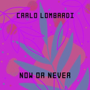 Now Or Never - Single