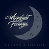Icon Moonlight Feelings (feat. Ridan) - Single