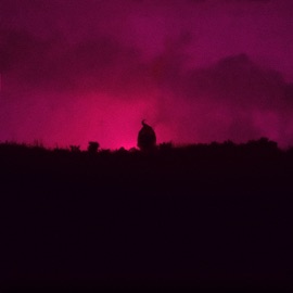 Розовый рассвет HOLLYFLAME