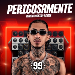 Perigosamente Arrochadeira Remix
