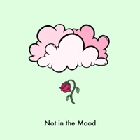 Not in the Mood - Single - Bizzair, Rock Samson & eloef