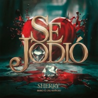 Se Jodio (feat. Los del Futuro) - Single - Sherry & Bimbo el Oso Mañoso