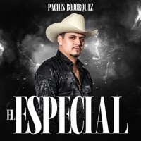 El Especial (En Vivo) - Single - Pachis Bojorquez