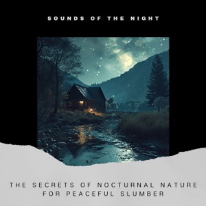The Secrets of Nocturnal Nature for Peaceful Slumber
