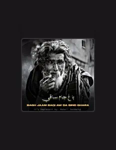 محلي سندریを聴いたり、ミュージックビデオを鑑賞したり、経歴やツアー日程などを確認したりしましょう！