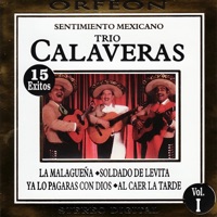 La Espiga