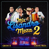 Mix Lisandro Meza 2: El Hombre Feliz / La Boyana / Recorriendo el Perú - Single - Grupo 5 & Chane Meza