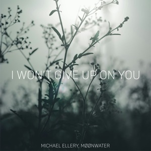 I Won't Give up on You (feat. MØØNWATER)