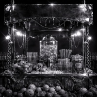 Serve The Hoe - Single - Nasi Wonder, Vybez Music Group & Mvntana