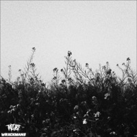 BIOPHOBIA (feat. TAZ-187) - Single - WRXCKMANE