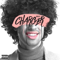 Charger - Single - Naaji