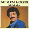 Müslüm Gürses - Seni Yazdım artwork