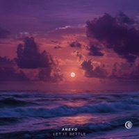 Let it Settle - Single - Anevo
