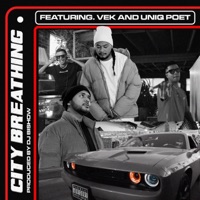 City Breathing (feat. Uniq Poet & Vek) - Single - DJ Bishow