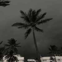 #island - Single - 55 Aero