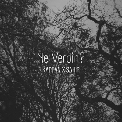 Ne Verdin? (feat. Sahir) - Single