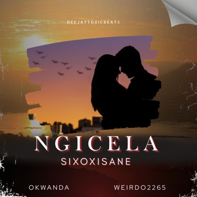 Ngicela Sixoxisane (feat. Okwanda & Weirdo2265) - Single