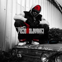 Mejd In Slovakaj - Single - Cetys