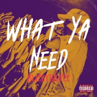 What ya Need - Single - Blizzybeatz