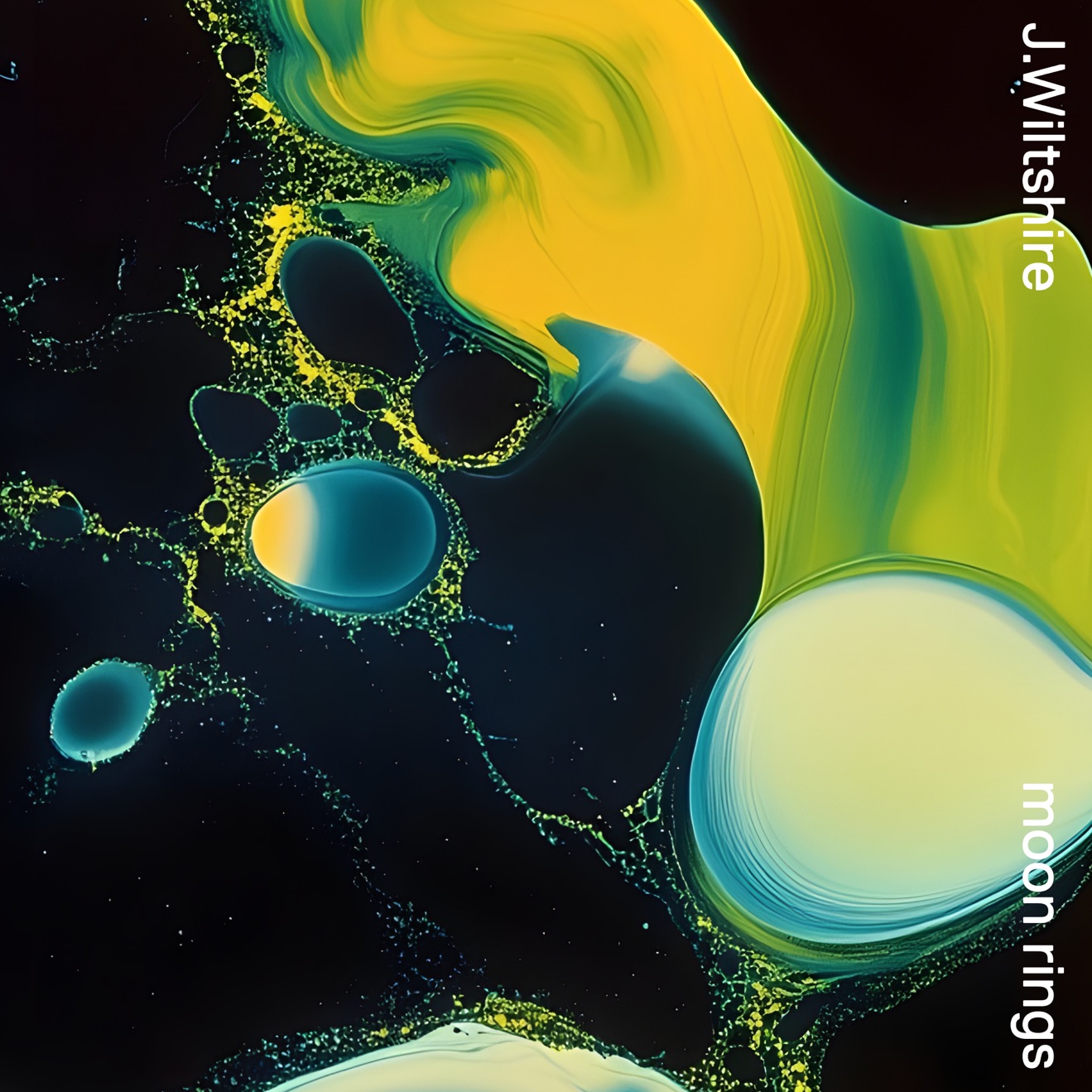 J. Wiltshire – moon rings (2025) [iTunes Match M4A]