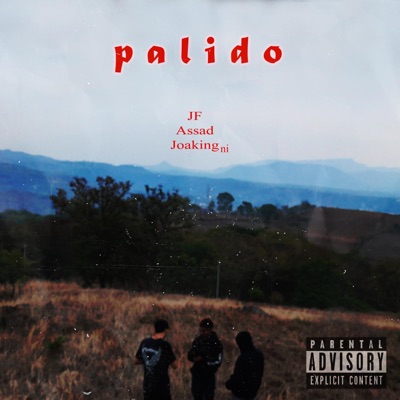 Palido - Single