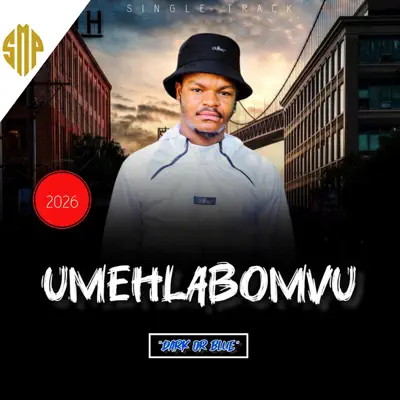 Listen to Dark or Blue - Single by Mehlabomvu