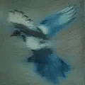 Forgetting