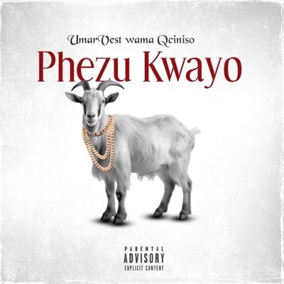 Phezu Kwayo - Single