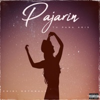 Pajarin (feat. Tu Pana Aris) - Single - Chiki Detonalo