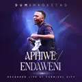  - Aphiwe_ Endaweni